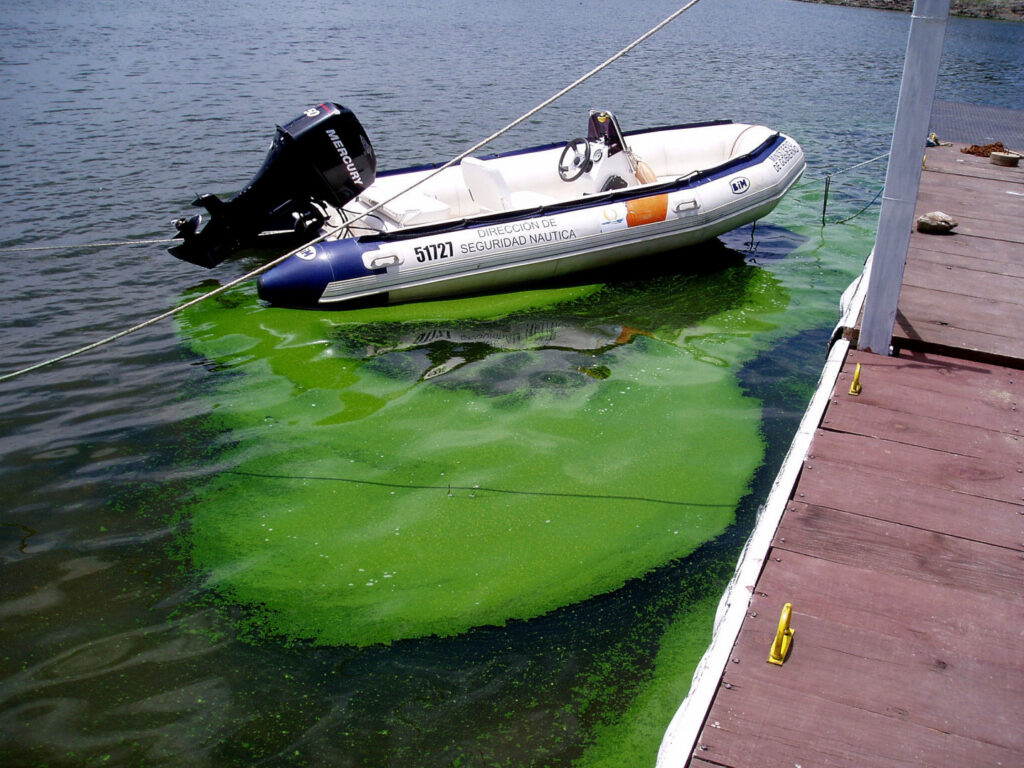 Lago San Roque